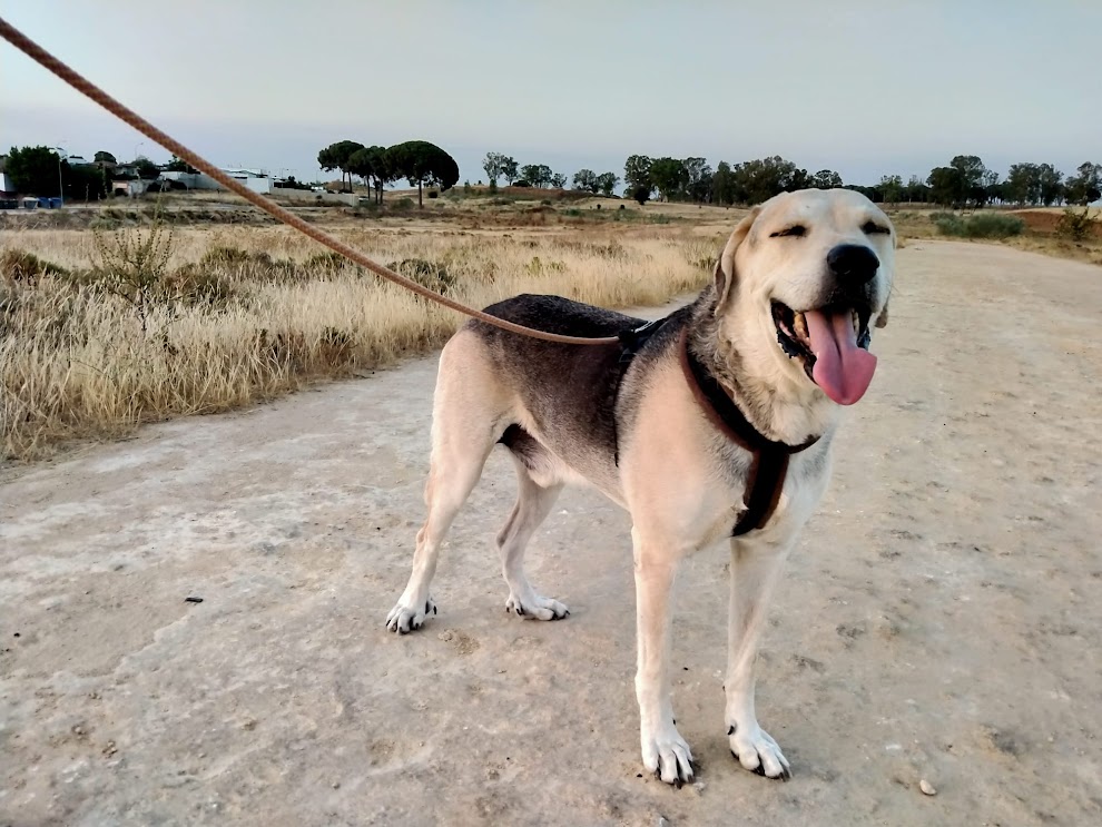 Foto 10 de Haku