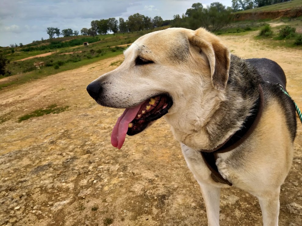 Foto 4 de Haku