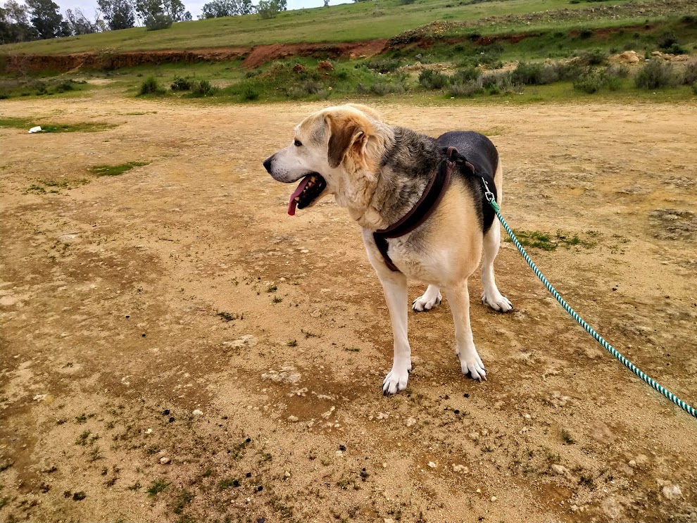 Foto 6 de Haku