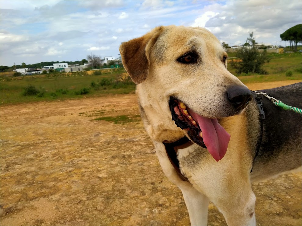 Foto 7 de Haku