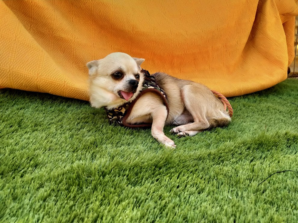 Foto 6 de Happy