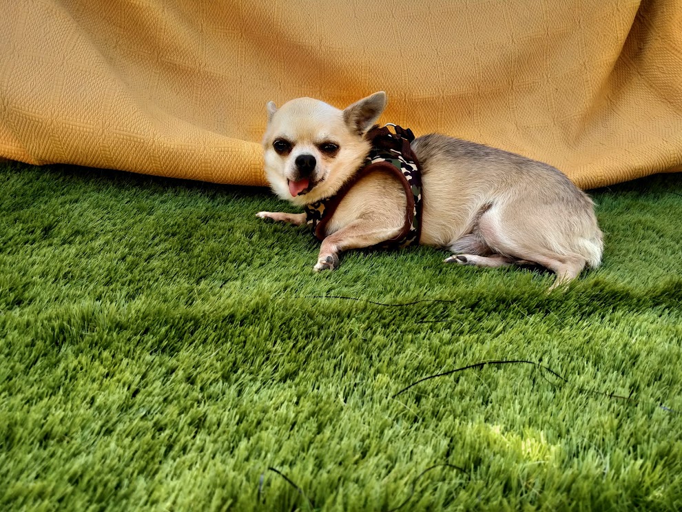 Foto 8 de Happy