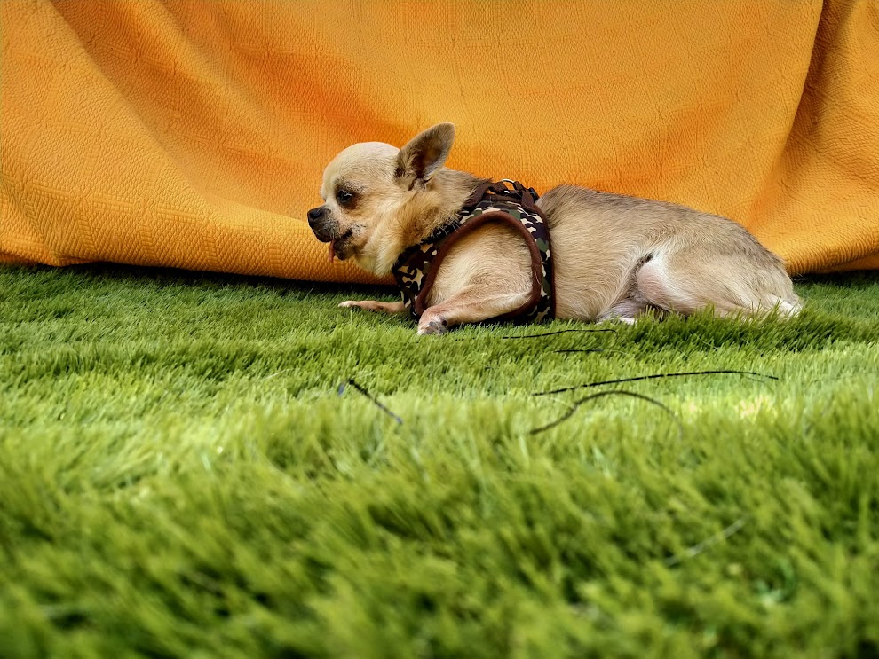 Foto 5 de Happy
