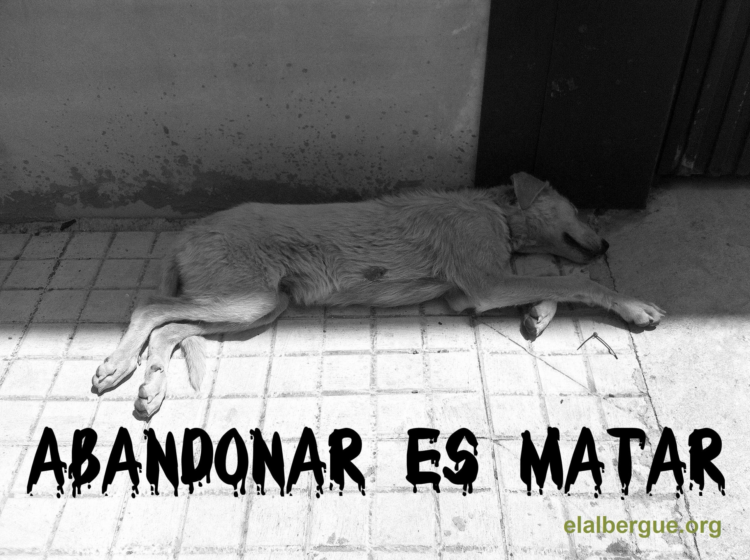 ABANDONAR ES MATAR