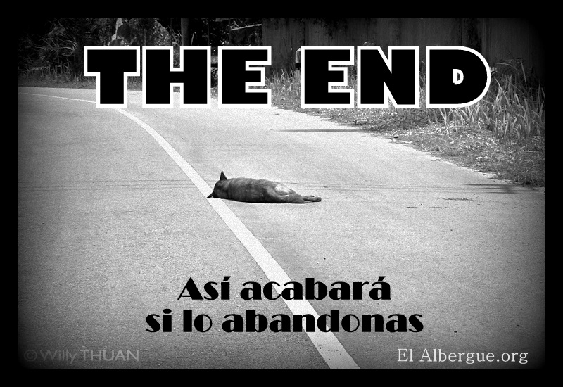 Así acabará si lo abandonas