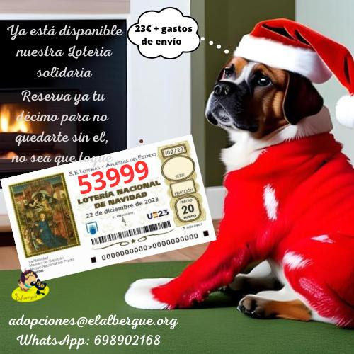 Lotería de Navidad 2023