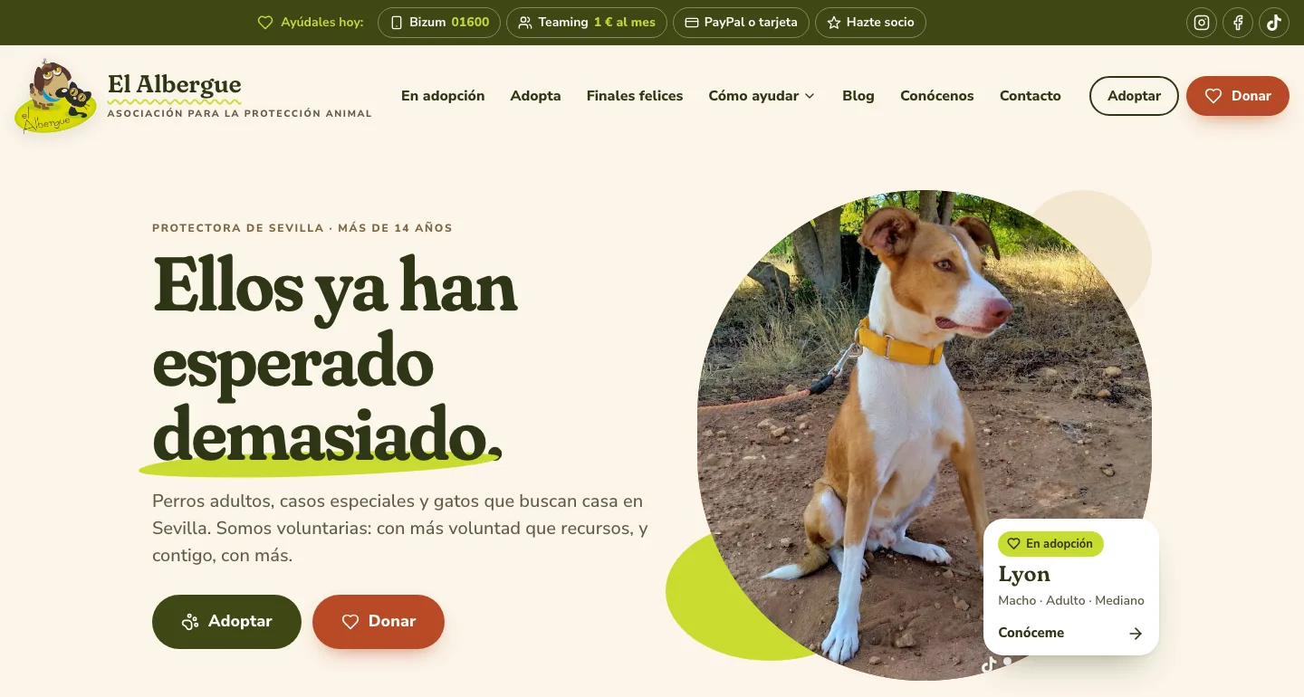 Estrenamos web