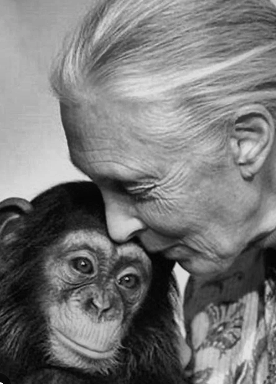 Homenaje a Jane