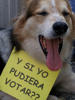 El Consejo Andaluz de Protección de los Animales es un fraude democrático