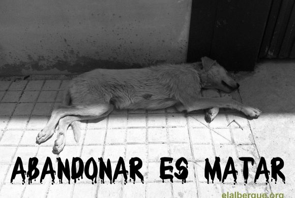 ABANDONAR ES MATAR